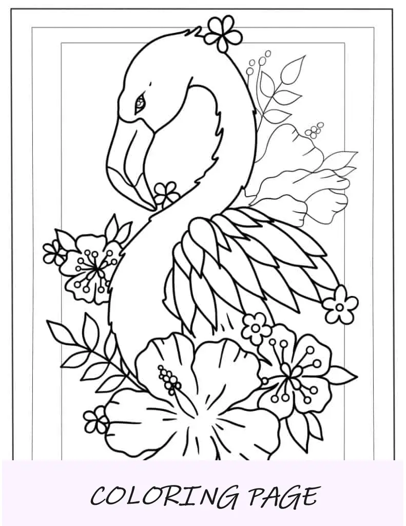 Flamingo tropical para colorir