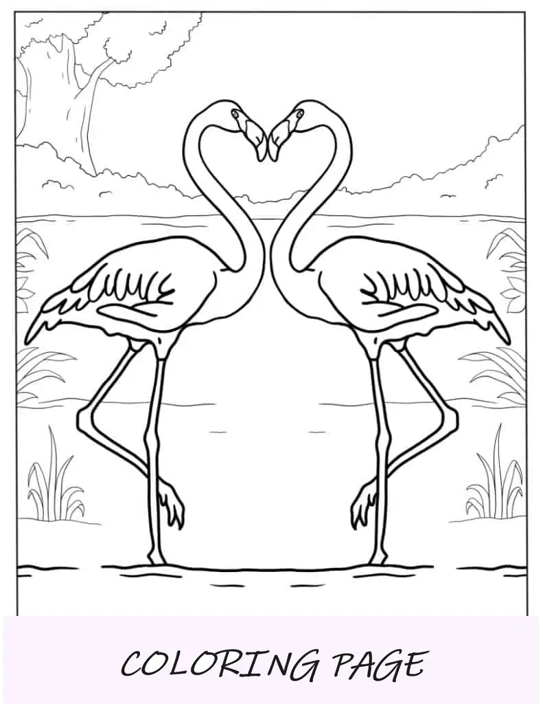 Dois flamingos fazendo um formato de coração de amor