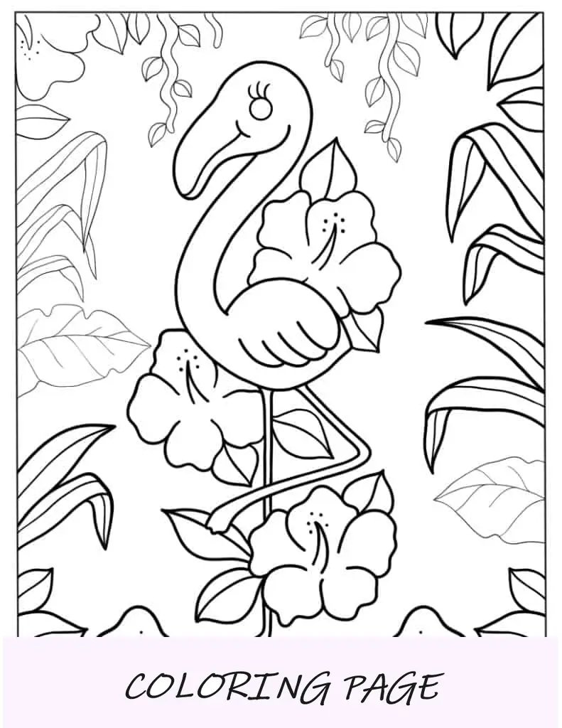 Flamingo com tema Kawaii
