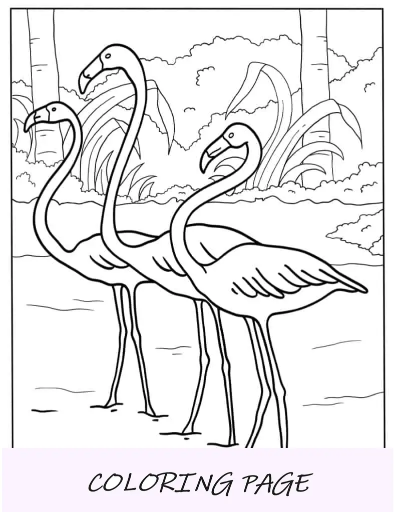 Três flamingos de aparência realista