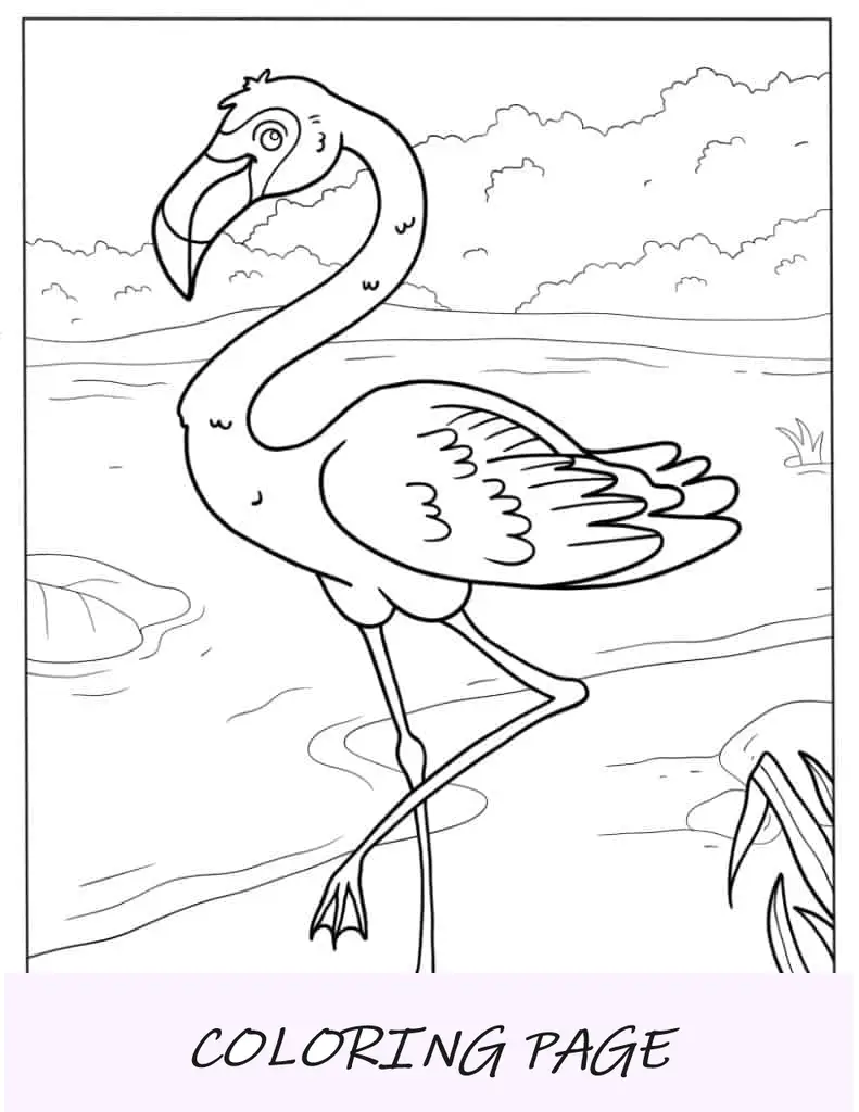 Página para colorir flamingo realista