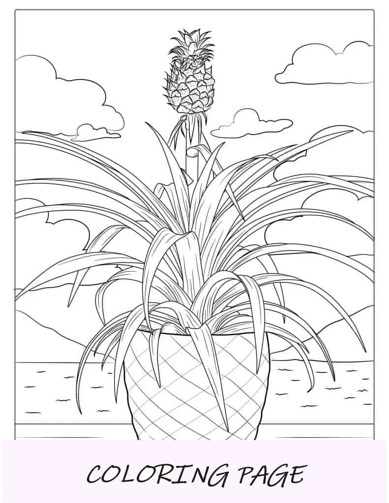 Página Para Colorear De Planta De Piña