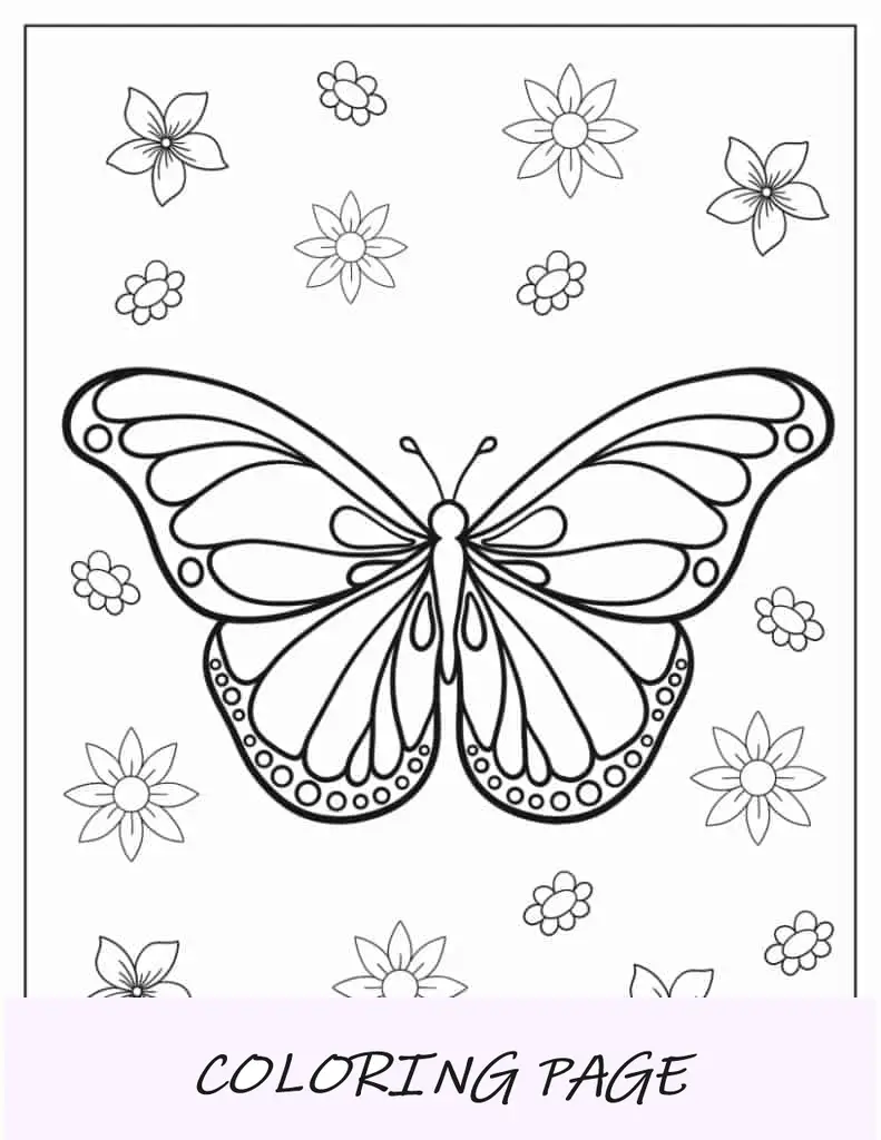 Contorno sencillo de mariposa con manchas en las alas