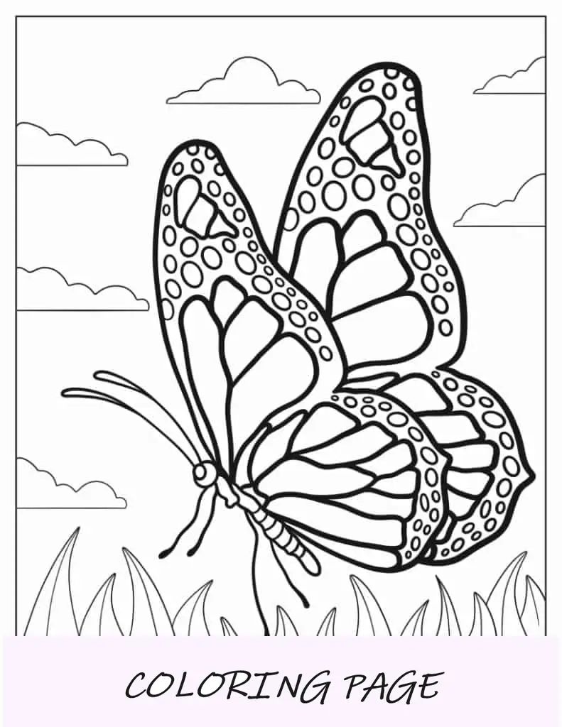 Mariposa Monarca flotando sobre la hierba