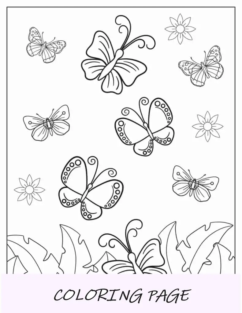 Diferentes tipos de mariposas en el aire