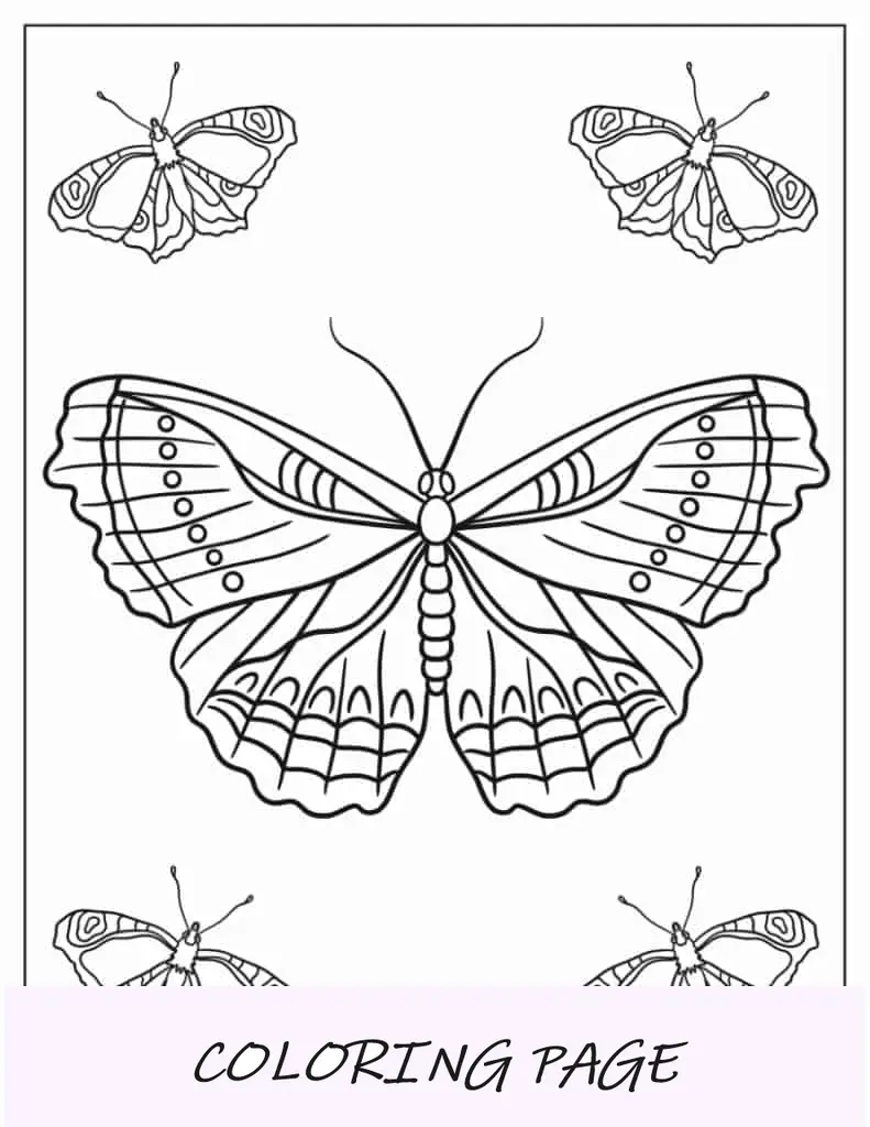 Bonita mariposa con alas detalladas para colorear.