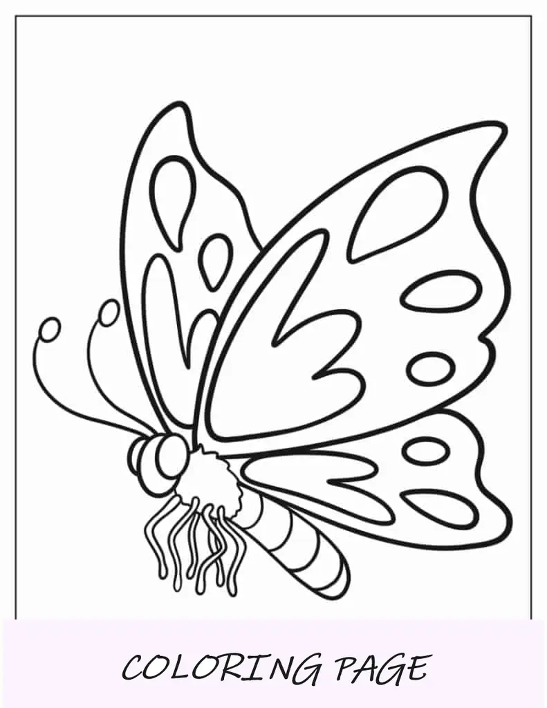 Primer plano de mariposa para colorear para niños