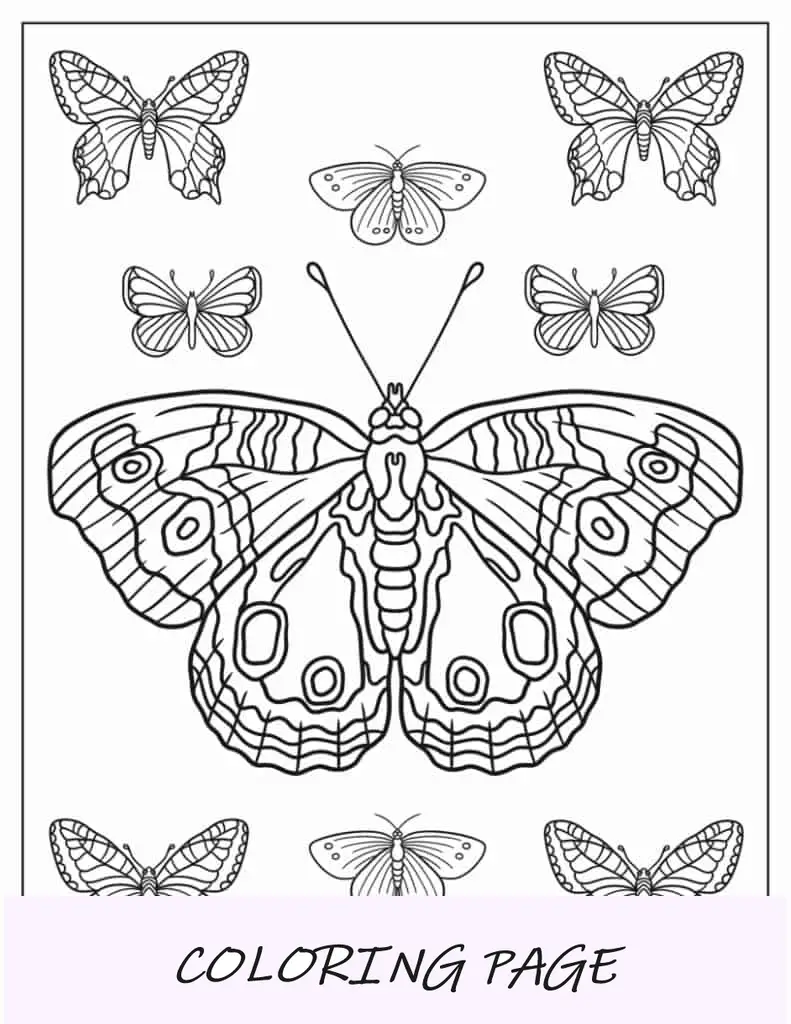 Hoja para colorear de mariposas tropicales