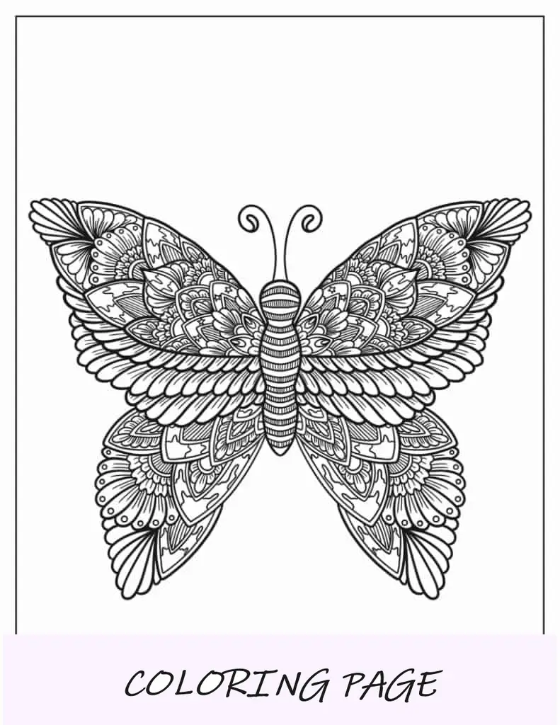 Mandala en forma de mariposa para colorear