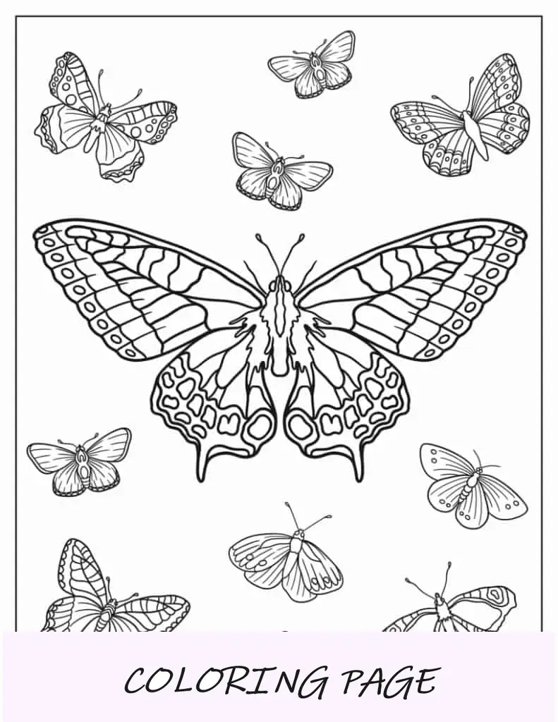 Mariposa cola de golondrina del viejo mundo