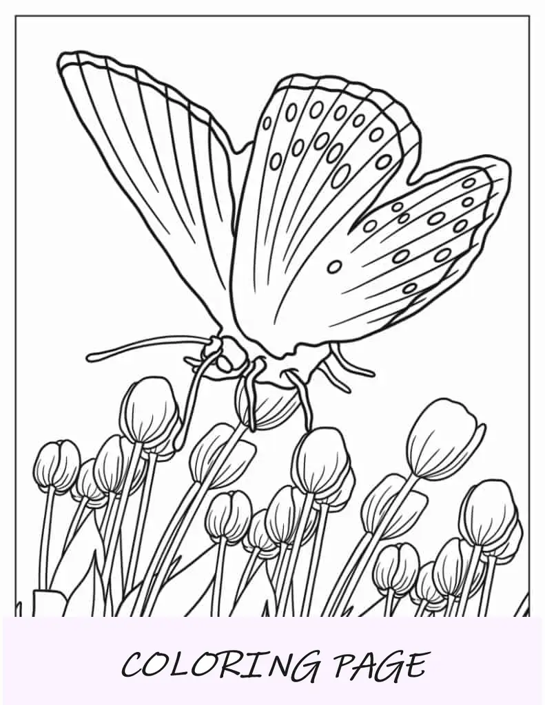 Contorno realista de mariposa flotando sobre tulipanes