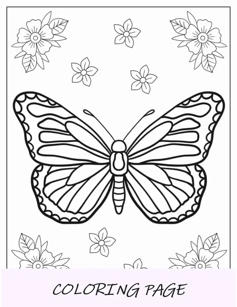 Colorear Mariposa Monarca Fácil