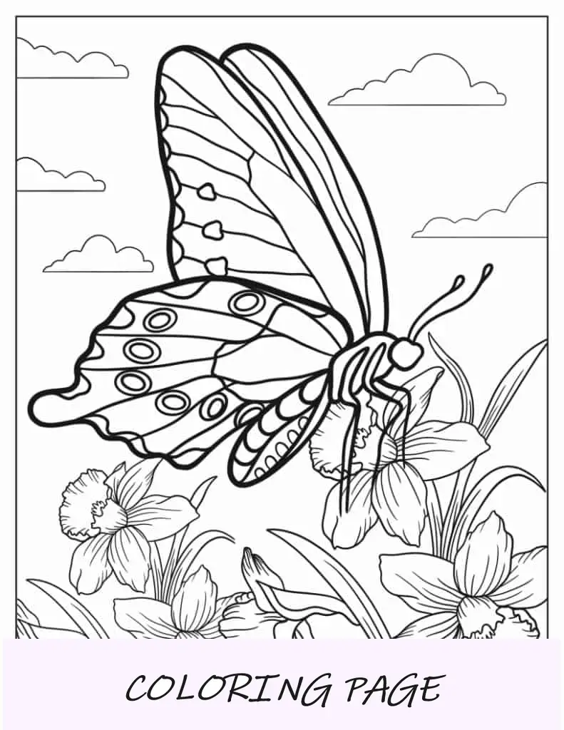 Especie de mariposa descansando sobre la flor