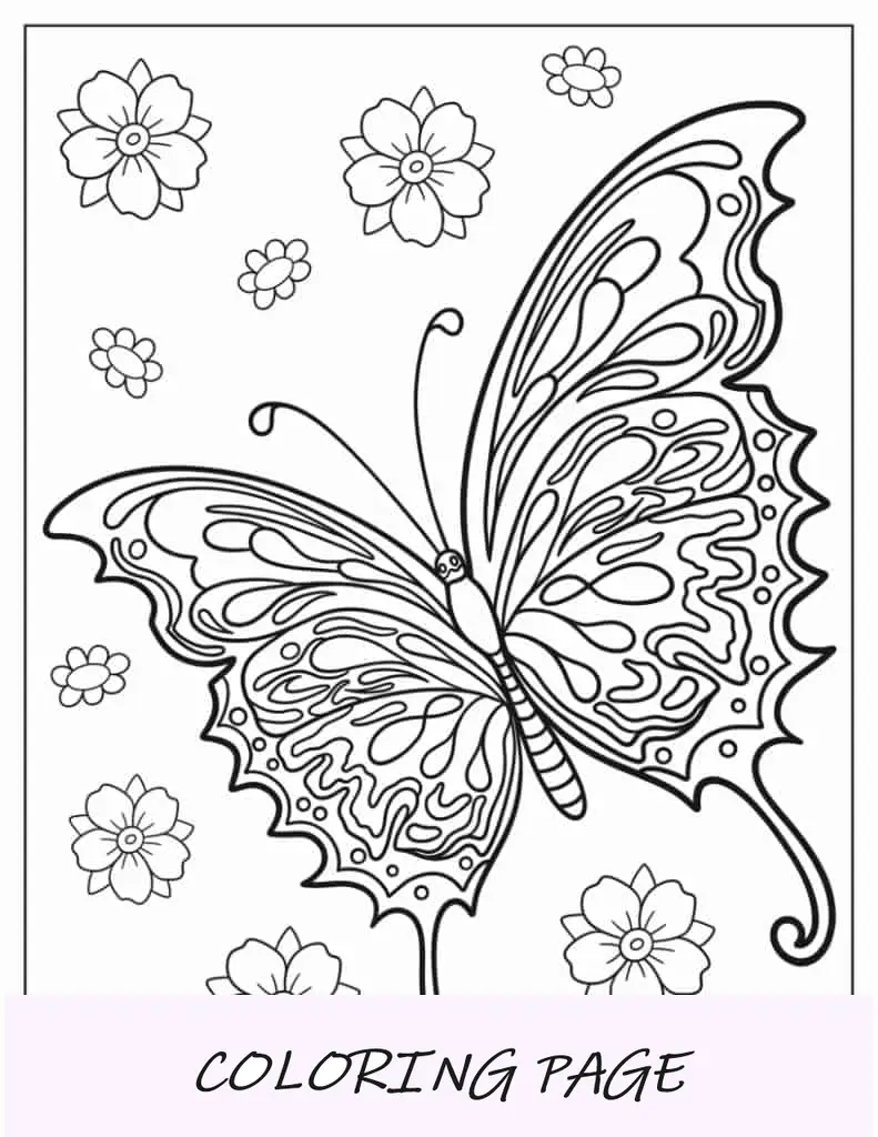 Mariposa con alas grandes para colorear para niños.