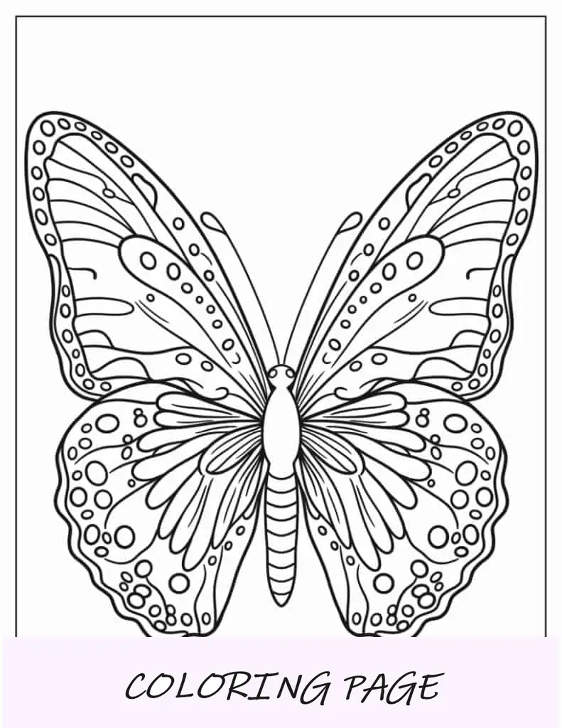 Hoja para colorear detallada de mariposa