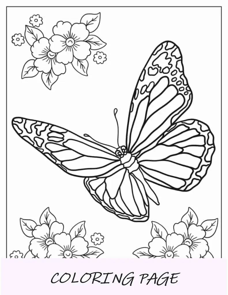 Mariposa con alas manchadas