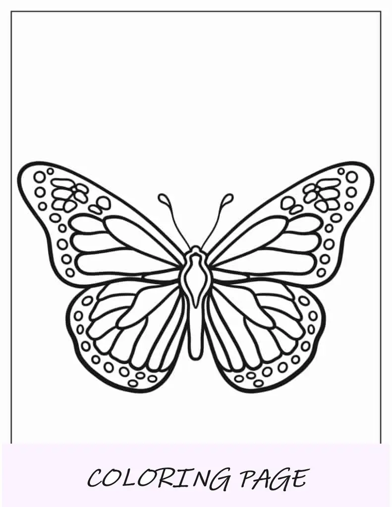 Vista superior de la mariposa monarca para niños en edad preescolar