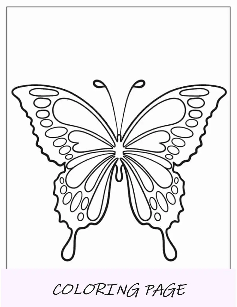 Hoja Para Colorear Sencilla De Mariposa Cola De Golondrina