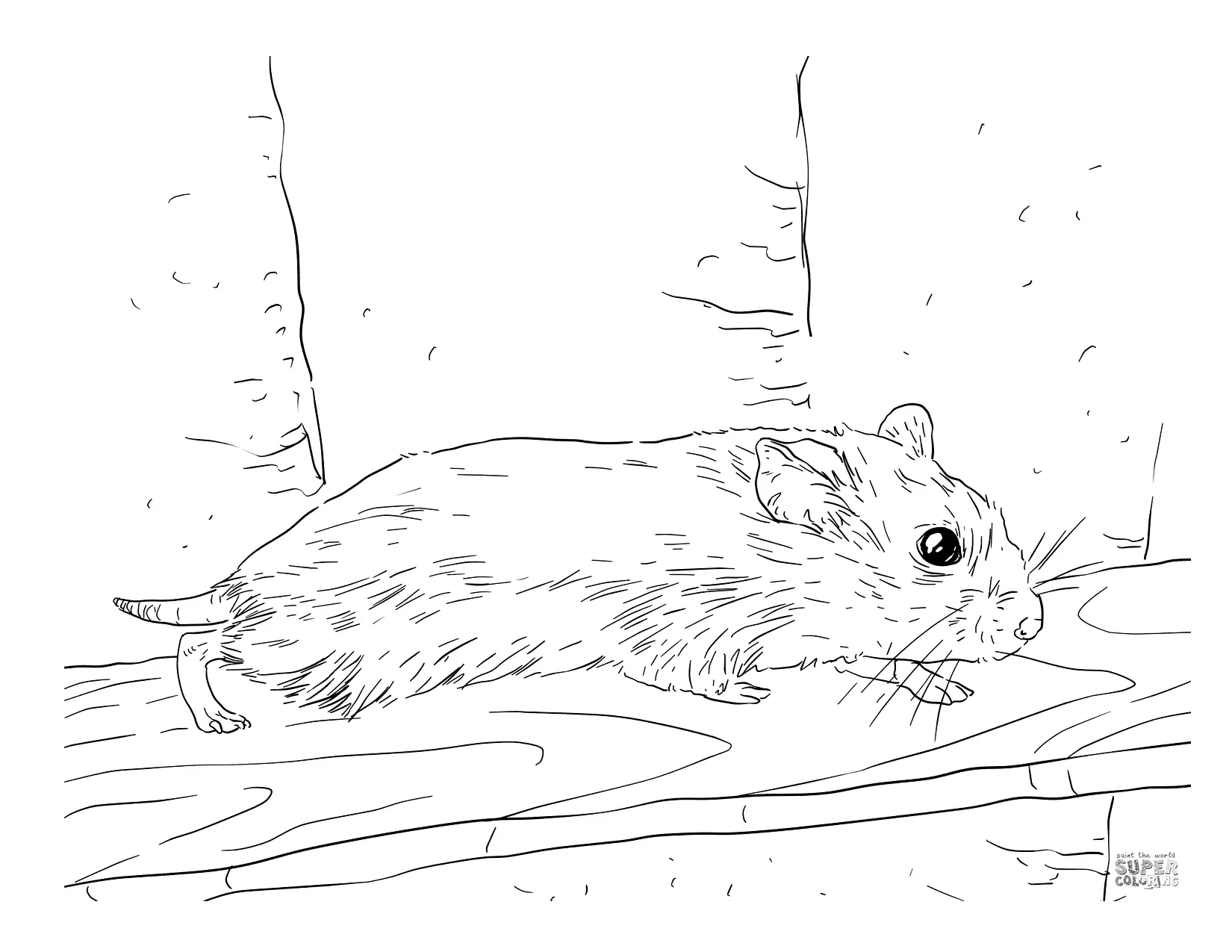 Cute Hamster Coloring Pages