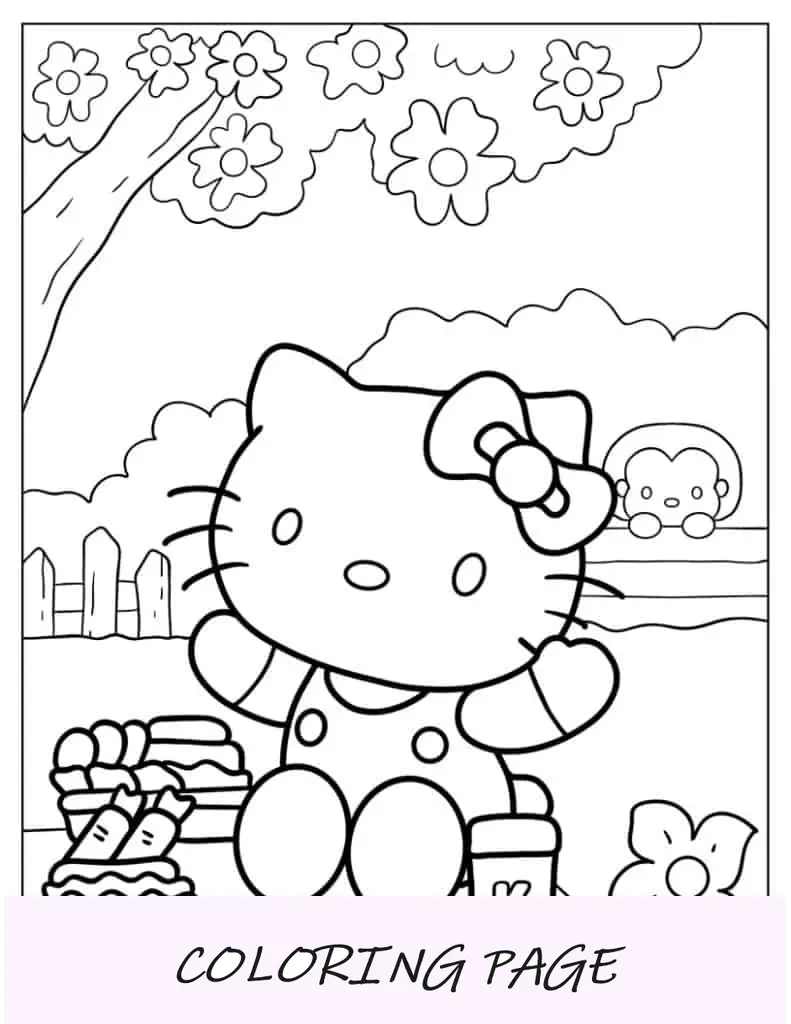 Hello Kitty curtindo um piquenique
