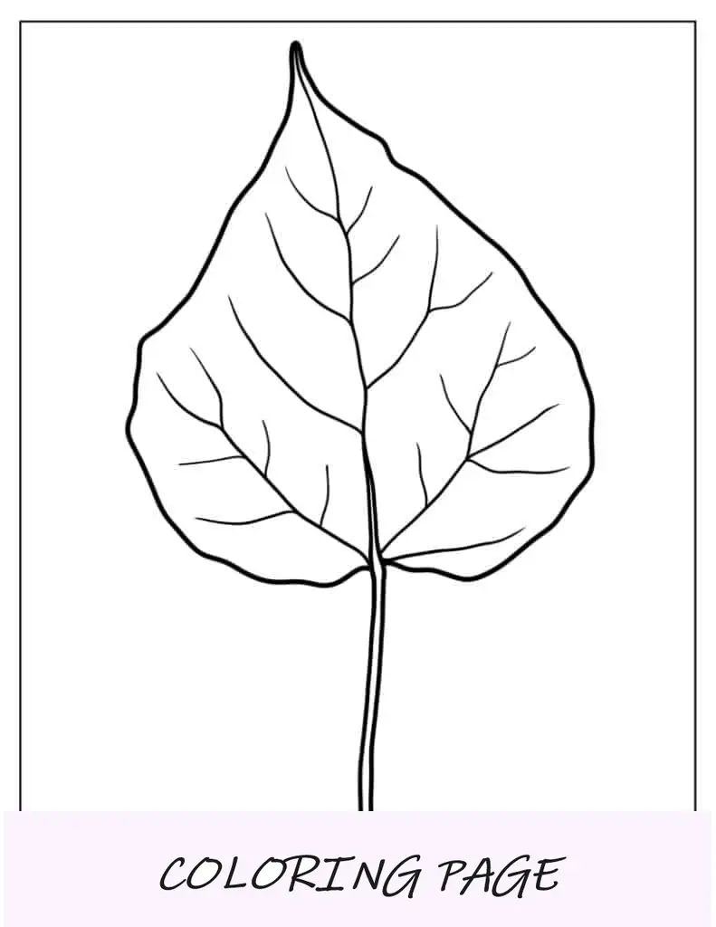 Página Para Colorear De Hoja Lila