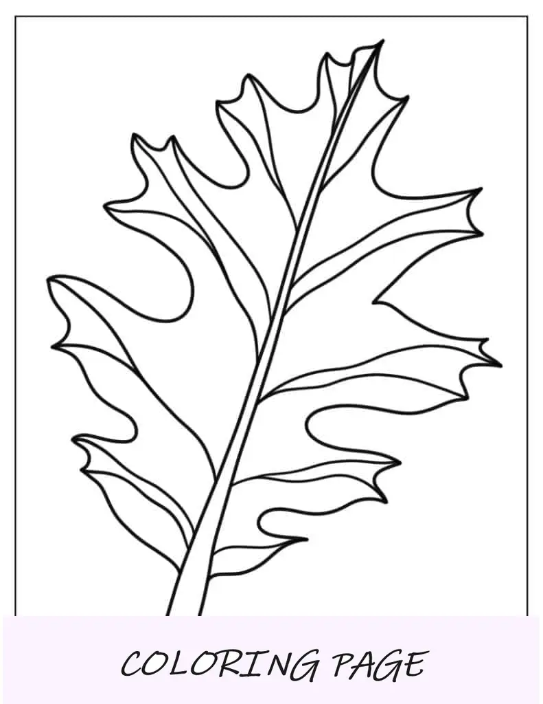 Hoja de acebo para colorear