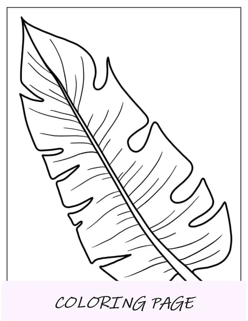 Imagen para colorear de hojas tropicales