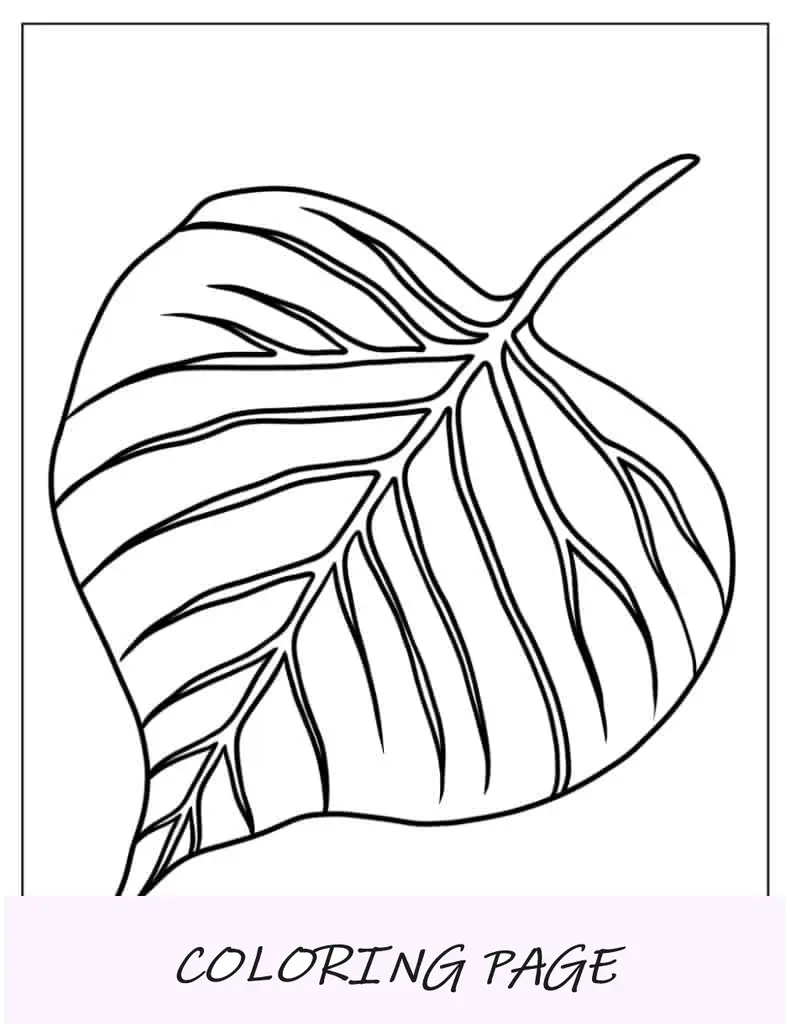 Hoja de álamo temblón grande