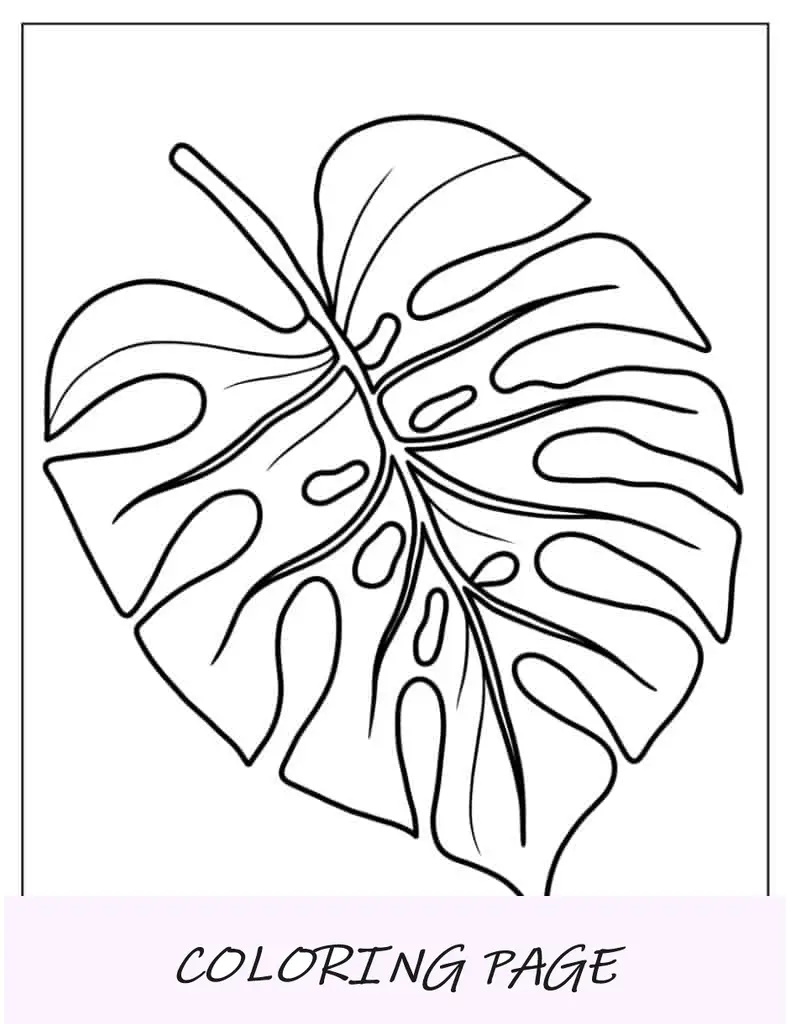 Página para colorear de una hoja de Monstera