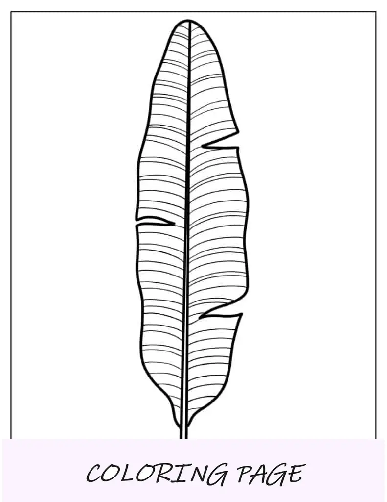 Página para colorear de hoja de ave del paraíso