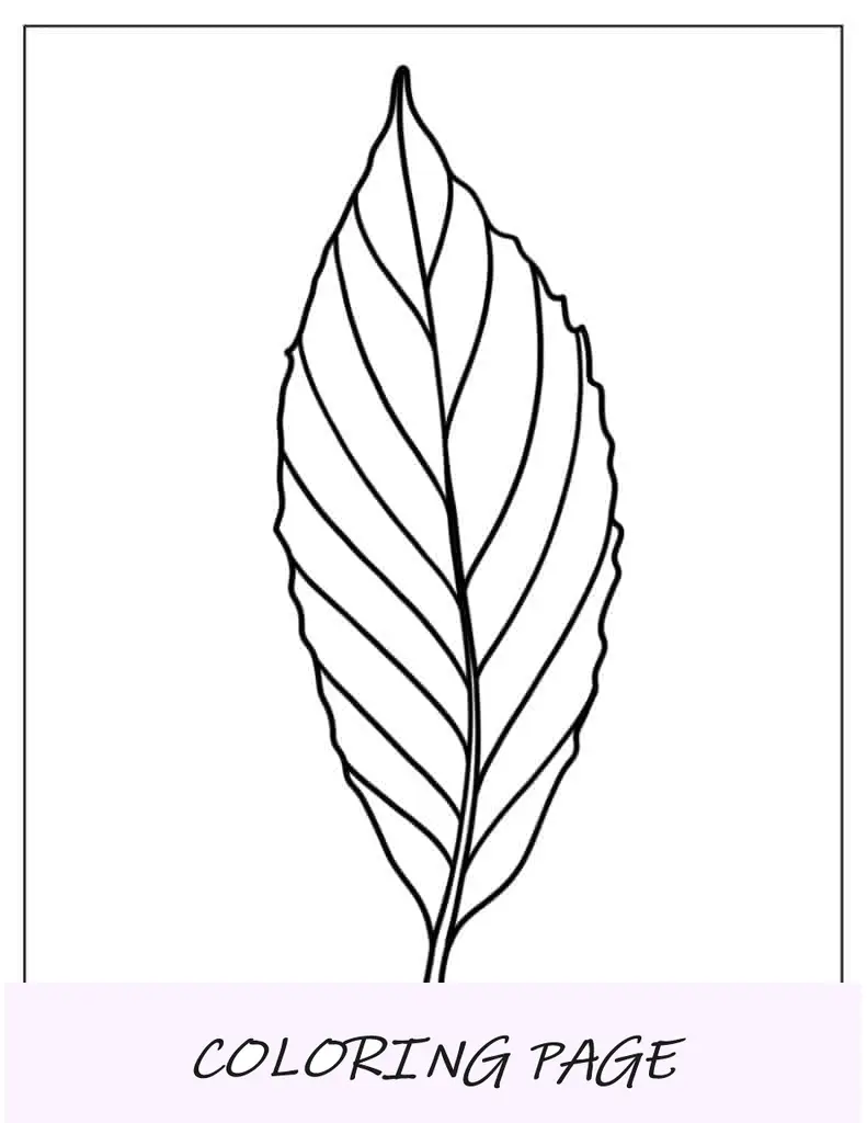Hoja de aspecto realista
