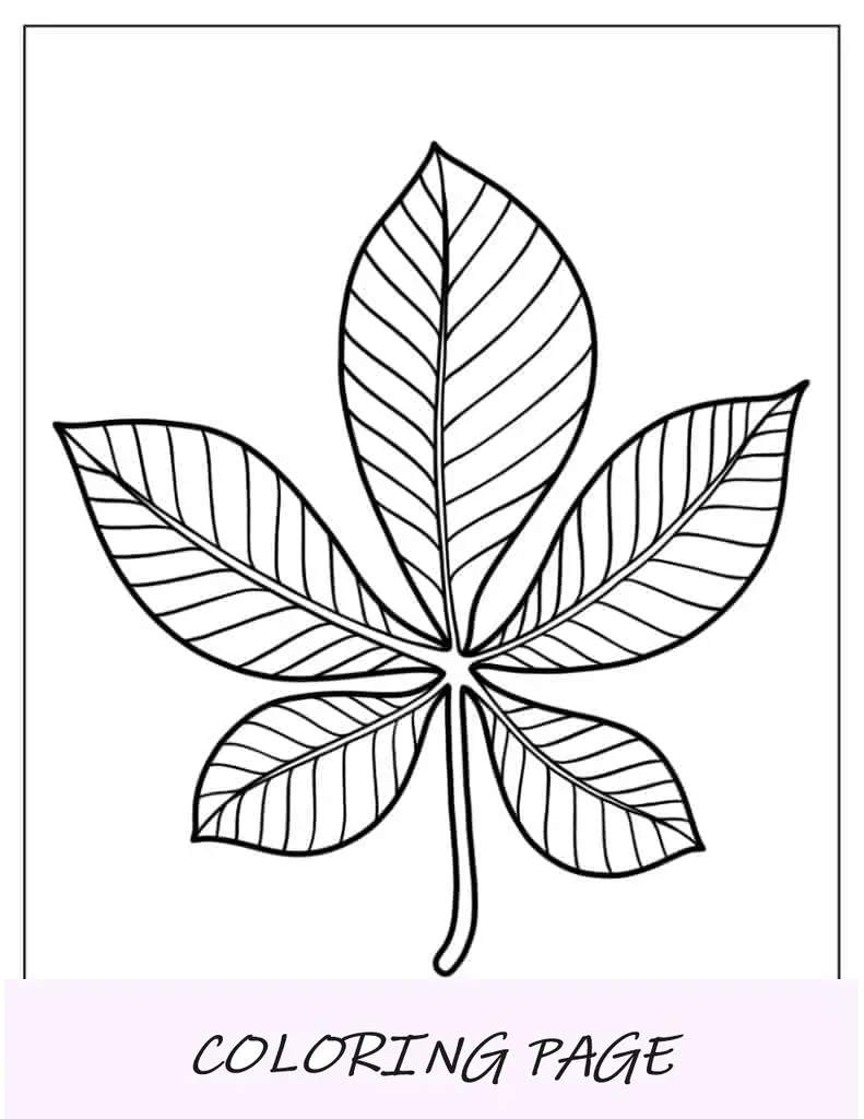 Página Para Colorear De Hoja De Castaño
