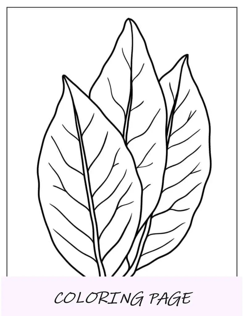 Página para colorear de hoja de cerezo de pájaro