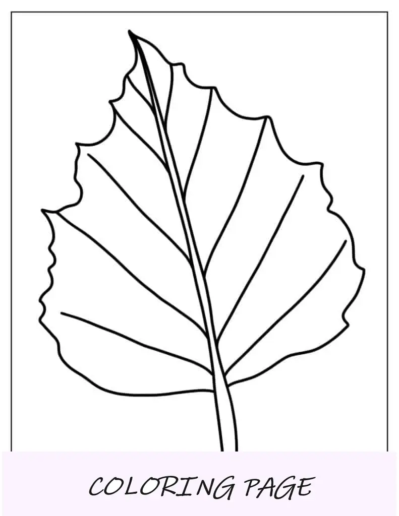 Hoja para colorear de hoja de álamo temblón