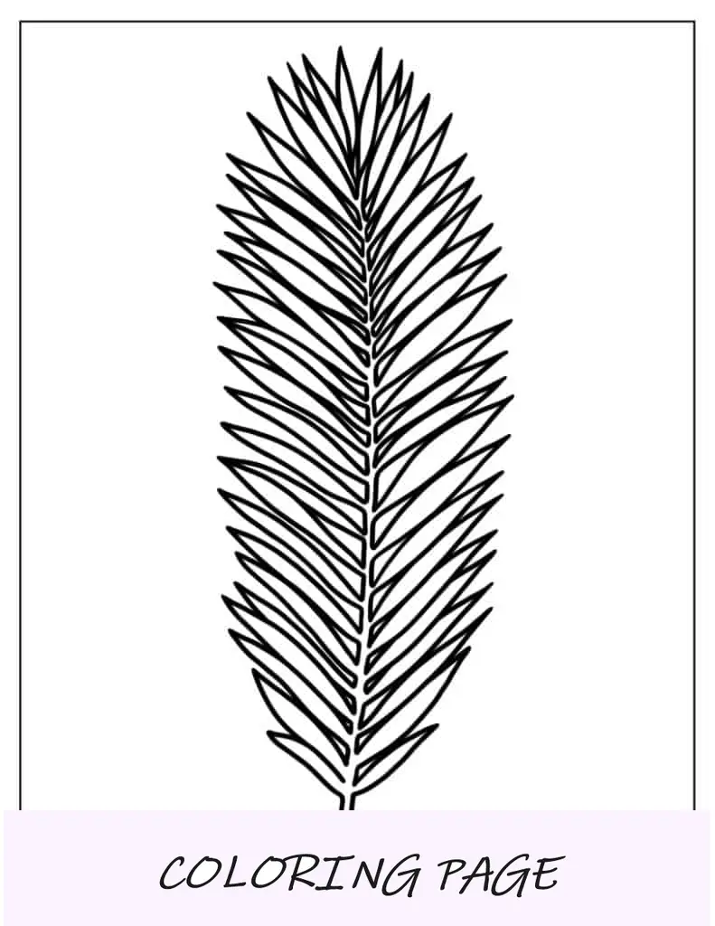 Hoja de palmera