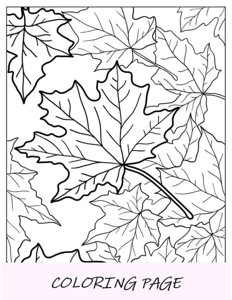 Hojas de arce de otoño