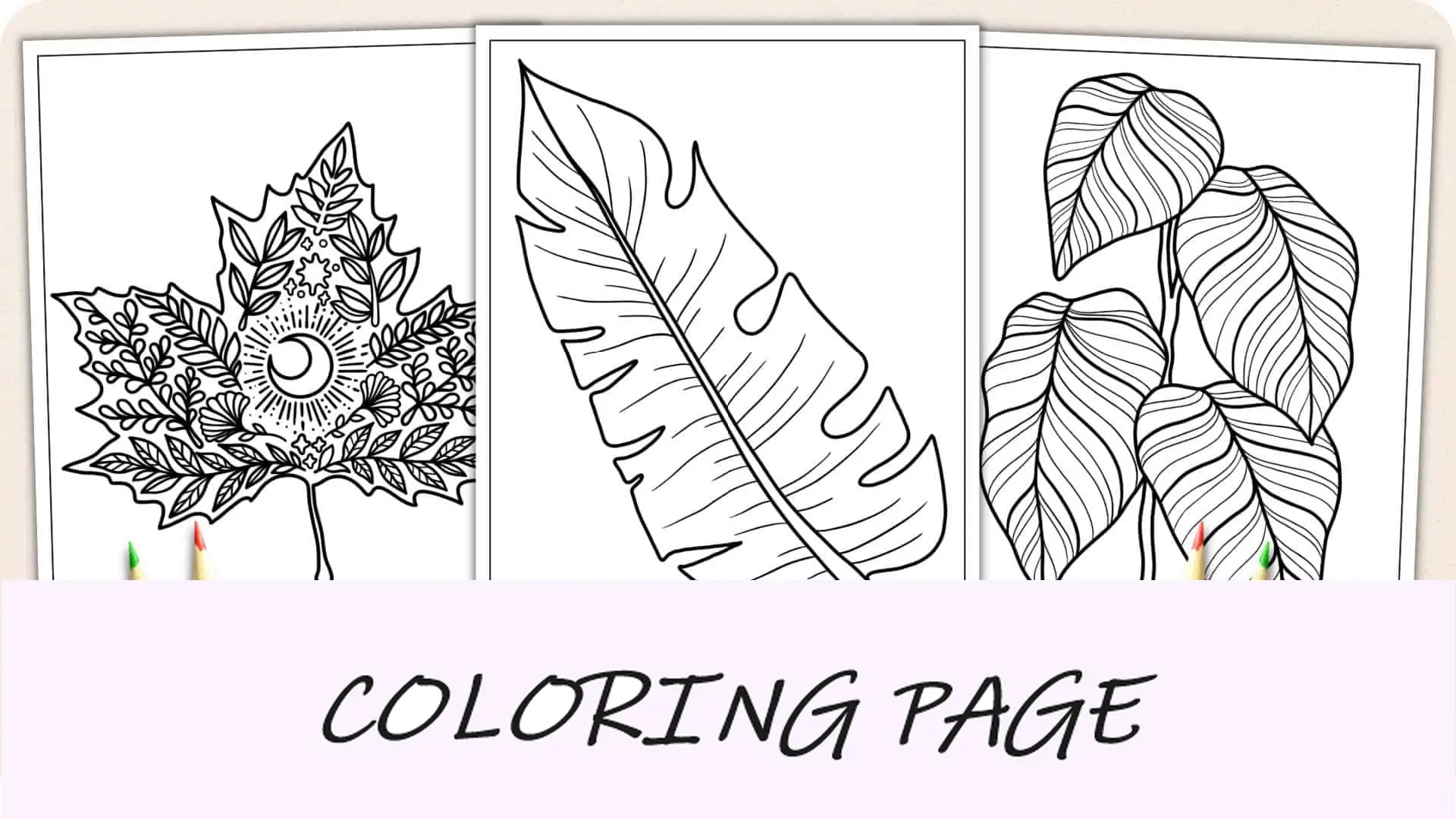 Páginas para colorear de hojas Imagen destacada