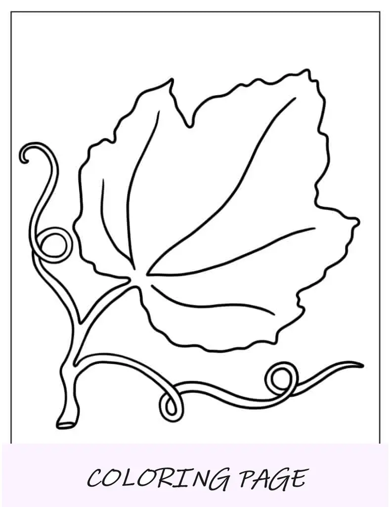 Hoja para colorear de hojas de calabaza