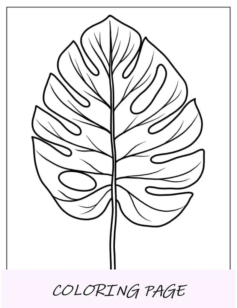 Hoja para colorear de hoja de filodendro