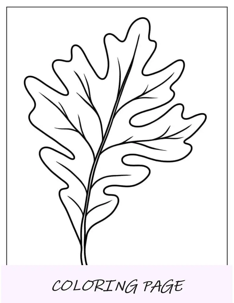 Hoja de roble