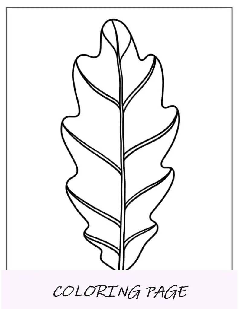 Hoja de roble(1)