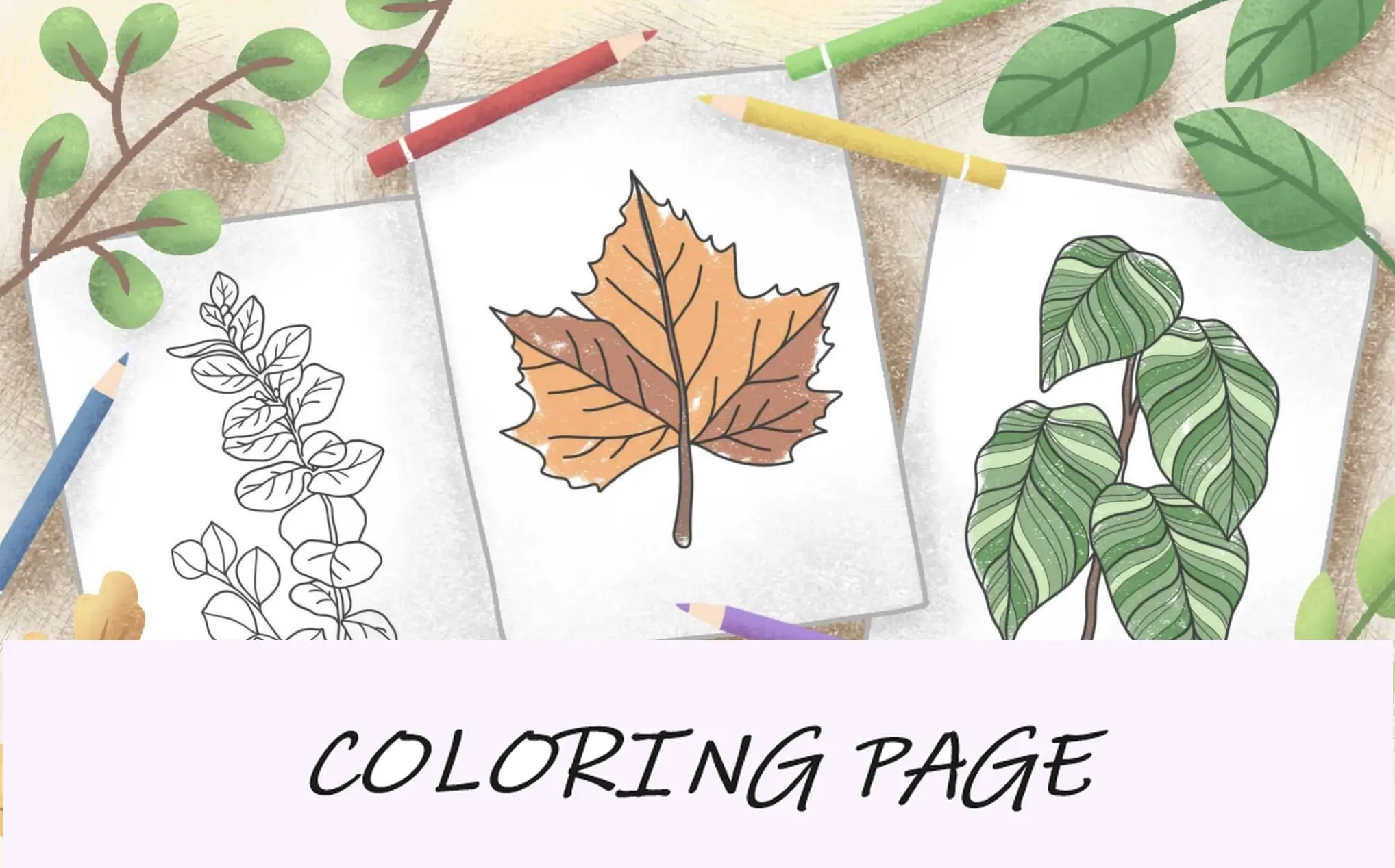 Imagen destacada de páginas para colorear de hojas.