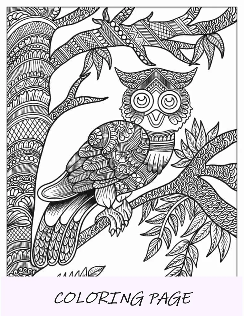 Mandala de búho y árbol
