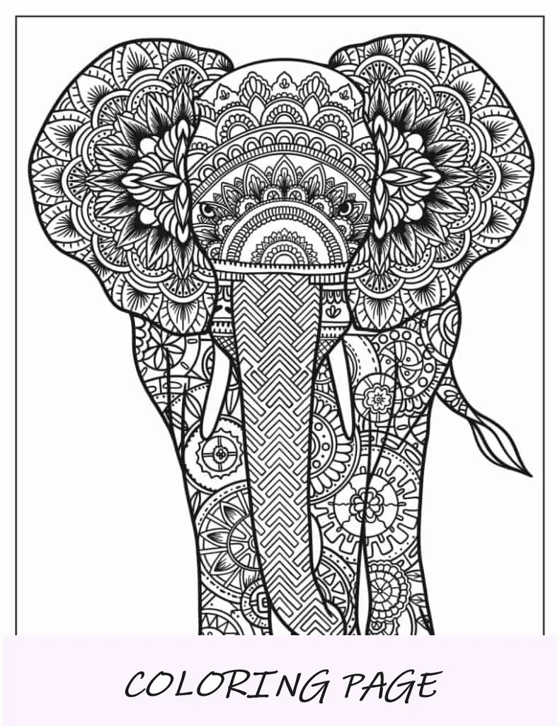 Mandala De Elefante Para Colorear Para Adultos