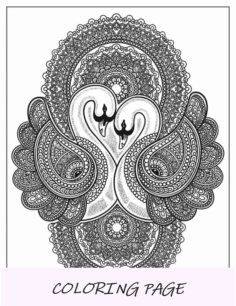 Mandala de dos cisnes para colorear