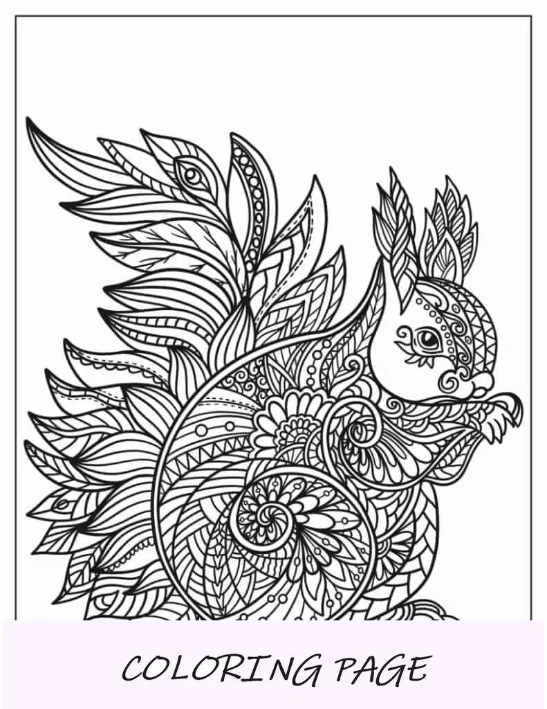 Mandala de ardilla compleja