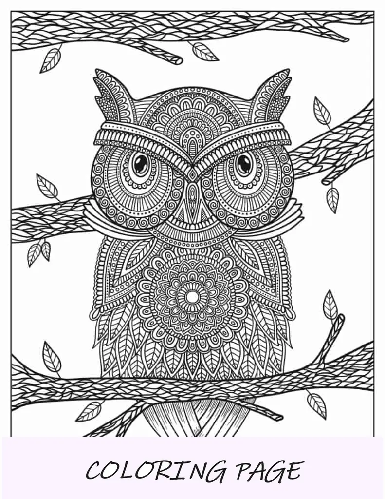 Hoja para colorear de mandala de búho posado en una rama