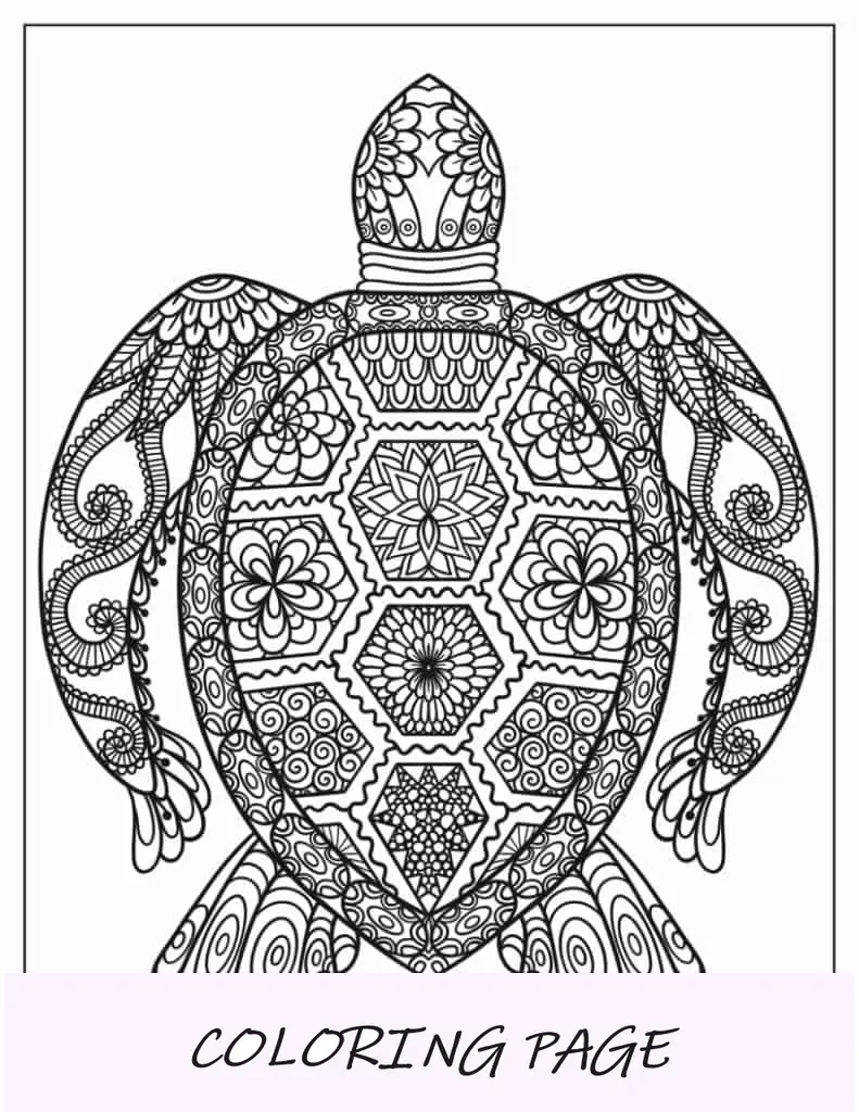 mandala tortuga