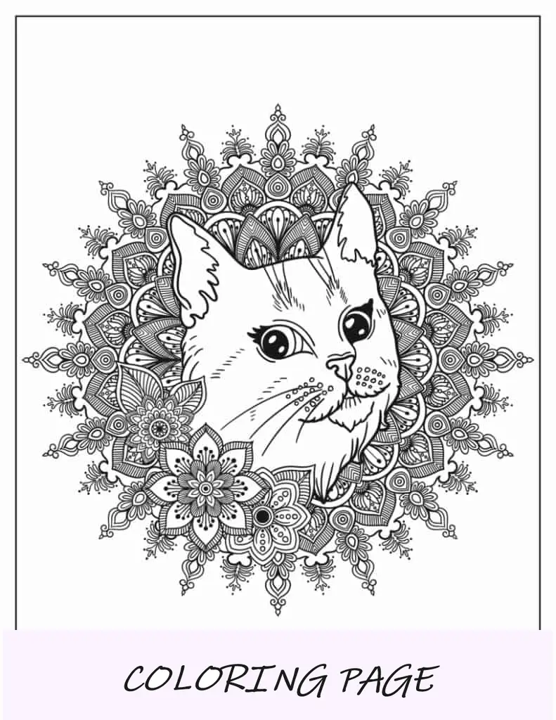 Hoja para colorear de mandala de gato realista