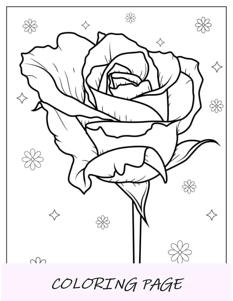 Cabeza de rosa con pétalos detallados